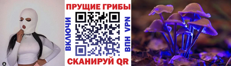Галлюциногенные грибы ЛСД Купить Верхоянск
